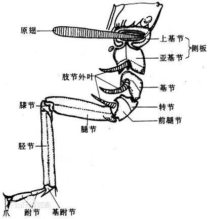 微信图片_20171029154229.jpg